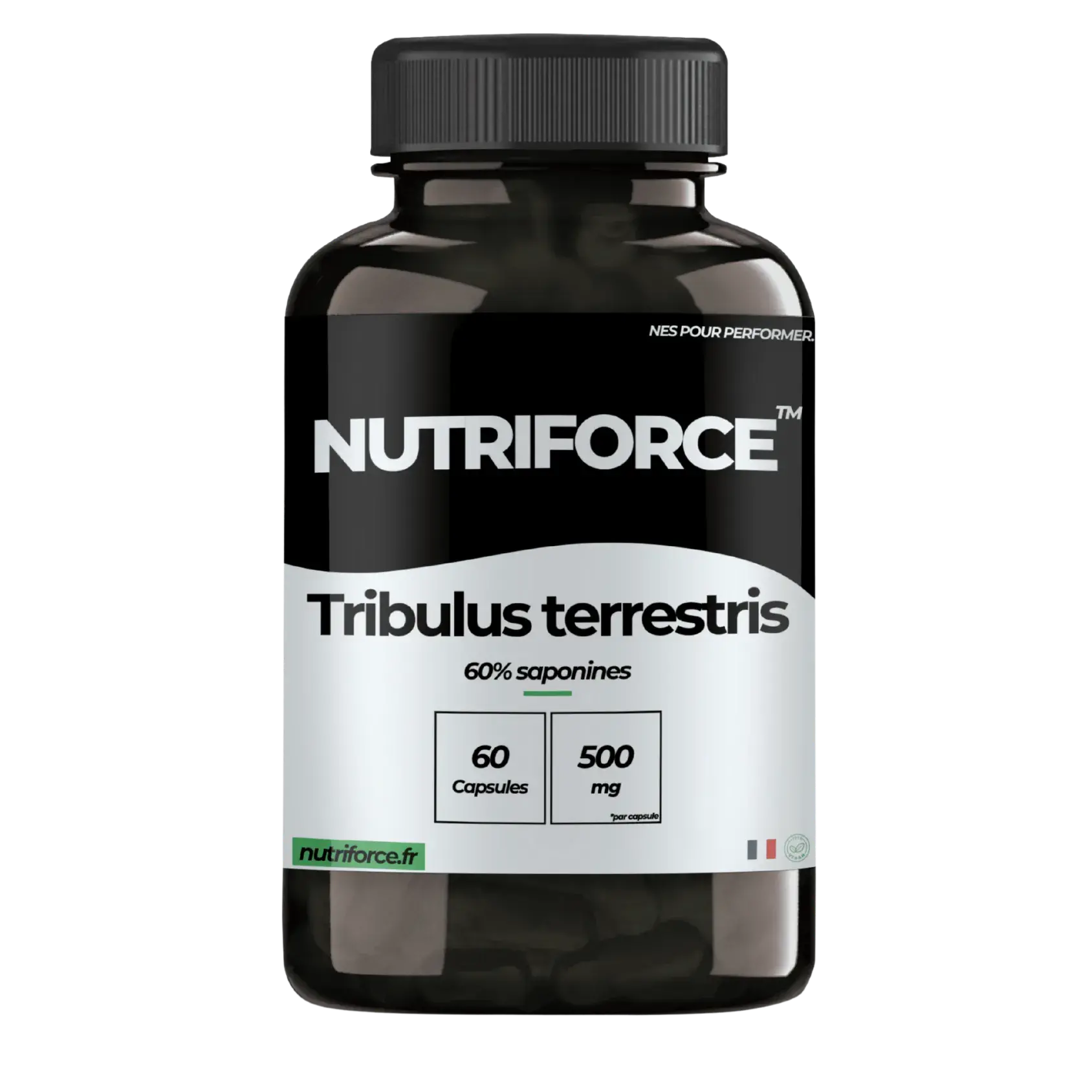 Tribulus terrestris
