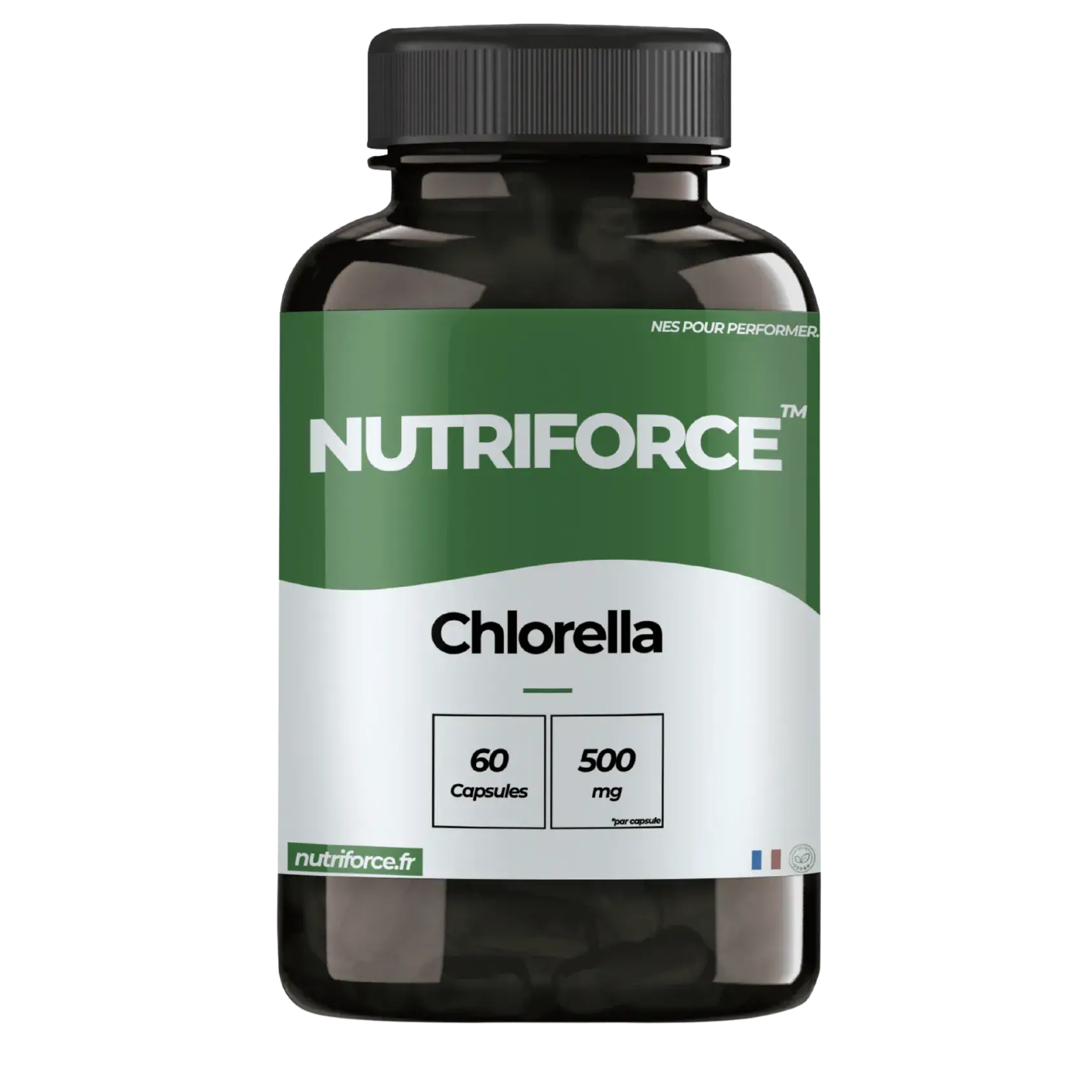 Chlorella vulgaris