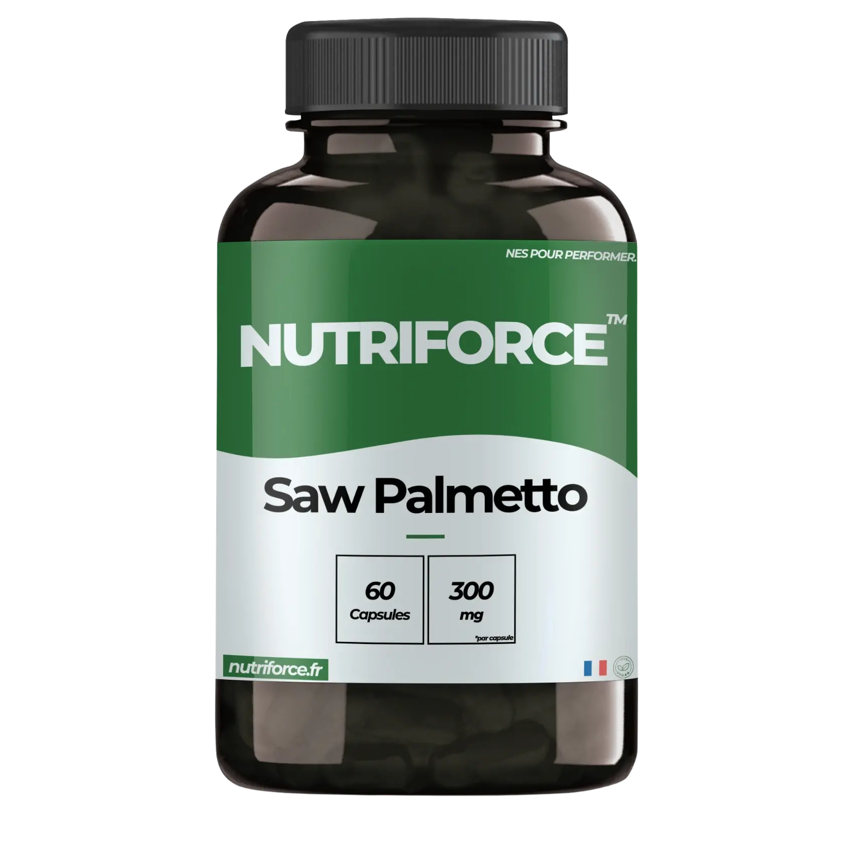 Saw Palmetto (Serenoa repens)